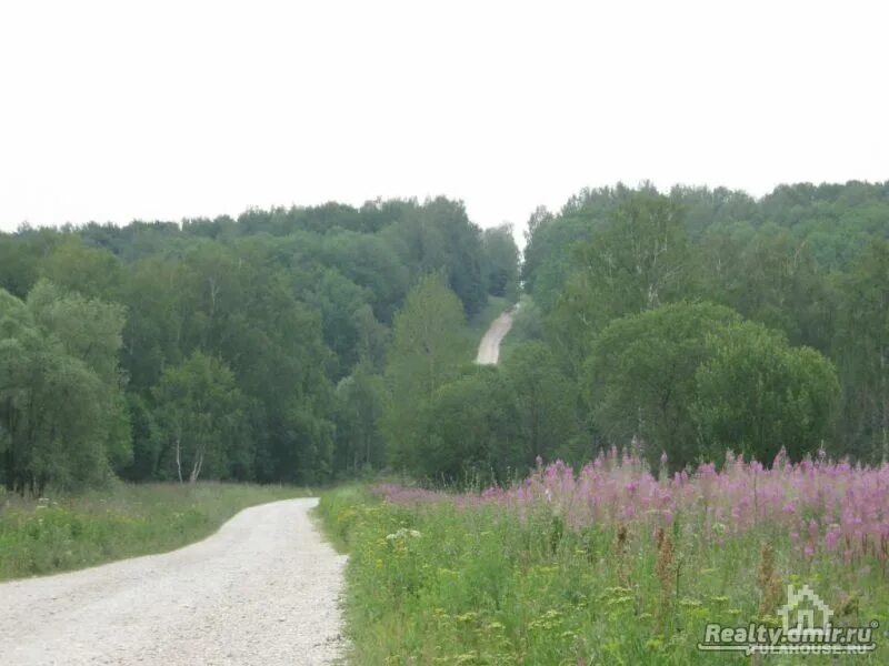 Дома тульская область алексинский. Деревня Лужки Тульская область. Деревня Лужки Алексинский район. Тульская область, Алексинский район, деревня Яшевка. Дер. Дулево алексинских р-н Тульской обл..