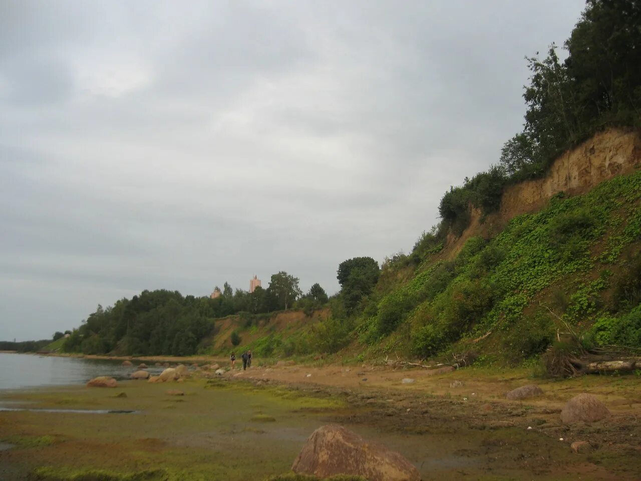 Красногорский обрыв лебяжье. Крутой уступ финского залива 5. Лебяжье красная горка побережье. Пляж лебяжье финский залив. Балтийско-ладожский глинт.