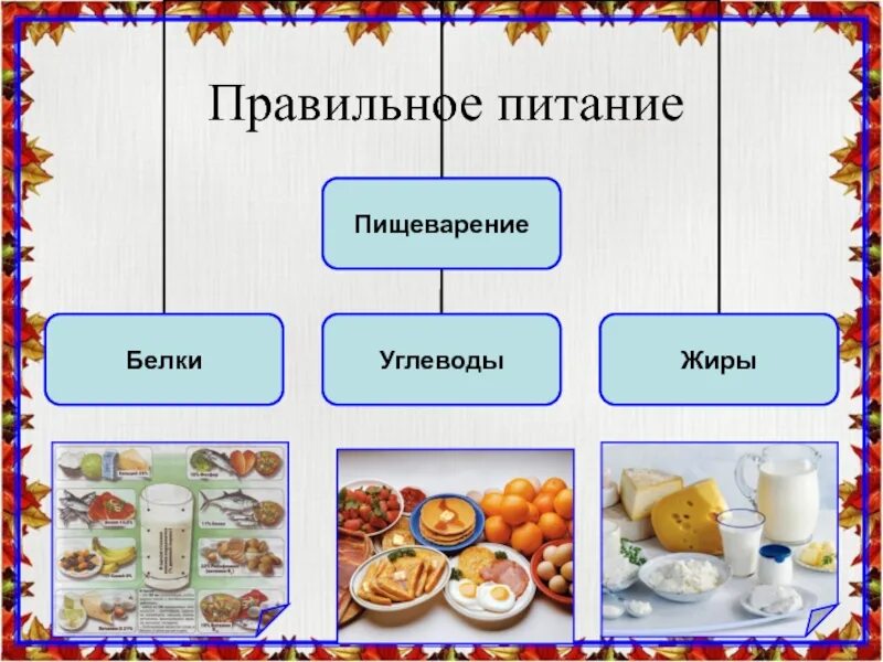 Белков и углеводов а также. Белки жиры углеводы. Правильное питание жиры и углеводы. Питание белки жиры углеводы. Питание и пищеварение.