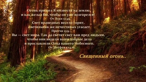 Царство правды