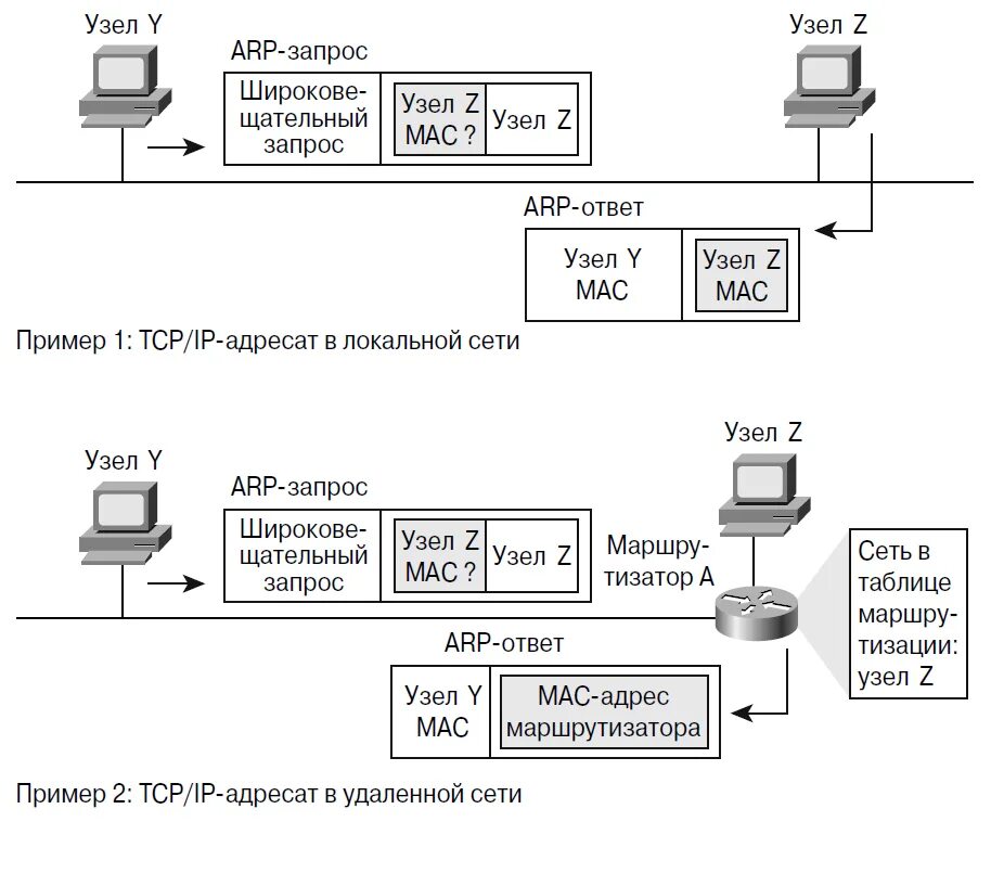 Установить ip сайта. Схема IP адресации. ARP-таблица протокола Ethernet. Протокол ARP схема. Из чего состоит IP address.