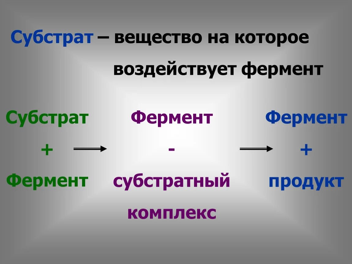 Ферменты воздействуют на