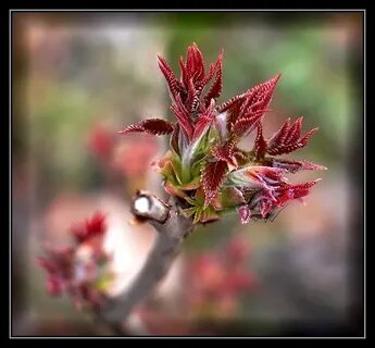 Spring awakens