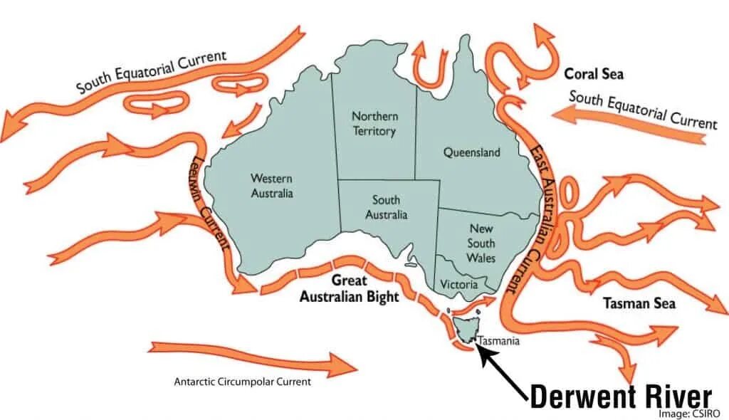 Направление течений австралии. Карта морских течений Австралии. Направления течений Австралии на карте. Холодные и теплые течения Австралии. Морские течения Австралии.