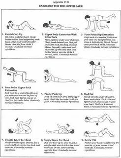 Back exercises