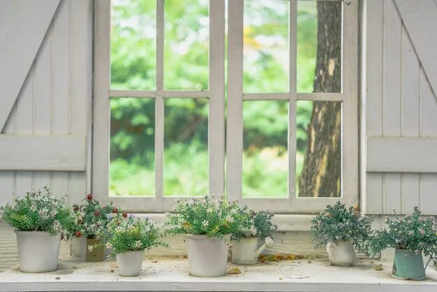 Сад в окне. Цветы на подоконнике. Цветок в бирюзовом горшке на подоконнике. Windowsill Flower Pot.