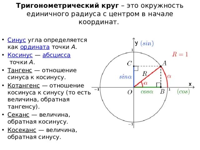 Круг тригонометрической функции. Тригонометрическая окружность синус. Понятие синуса и косинуса на единичной окружности. Определение синуса на единичной окружности. Единичная окружность синус косинус.