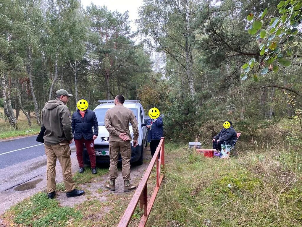 Грибы куршской косы. Собирать грибы на куршской косе. Грибники на куршской косе. Золотистый гриб куршская коса. Смотровая площадка на куршской косе.