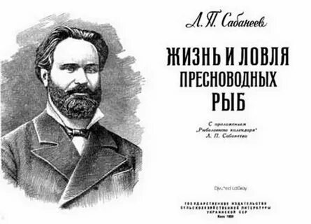 Сабанеева 2024