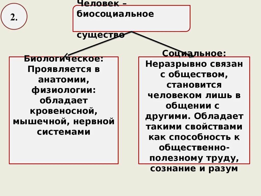 Что означает биосоциальное существо. Человек как биологическое существо. Человек биосоциальное существо схема. Человек как биосоциальное существо таблица. Человек как биосоциальное существо план.