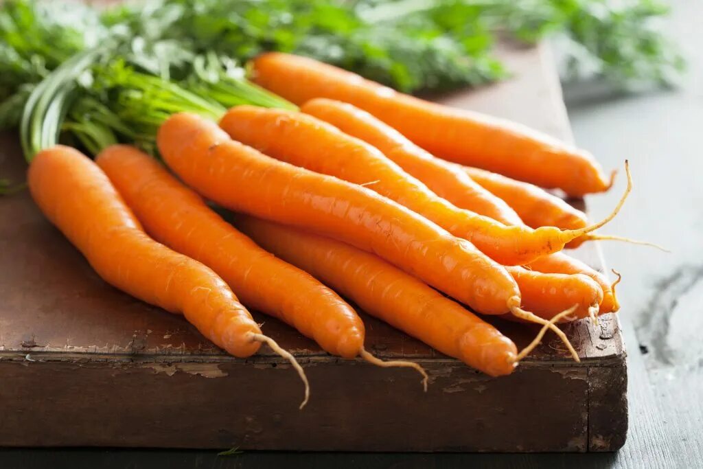 Carrot vegetable. Морковь Олимпиец f1. Овощи морковь.