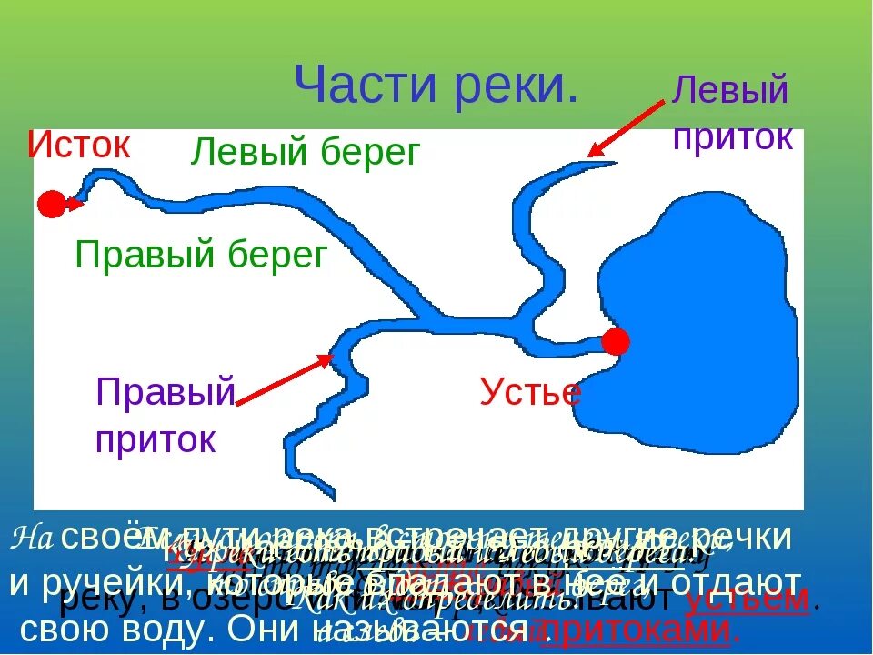 Исток приток Устье реки. Исток реки Устье реки. Устье приток Исток окружающий мир 2 класс. Что такое Устье реки и Исток и русло и приток. Река состоит из частей