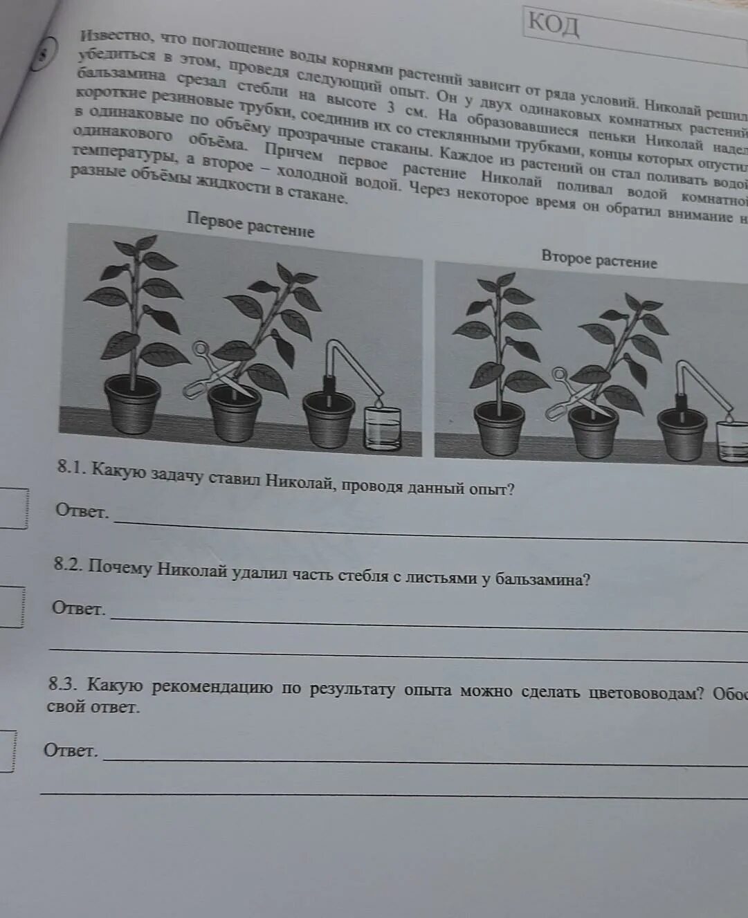 От какого фактора зависит поглощение воды растением. Опыт поглощение воды растениями. Поглощение воды корнем зависит от. Лабораторная работа поглощение воды корнем. Известно что поглощение воды корнями растений зависит.