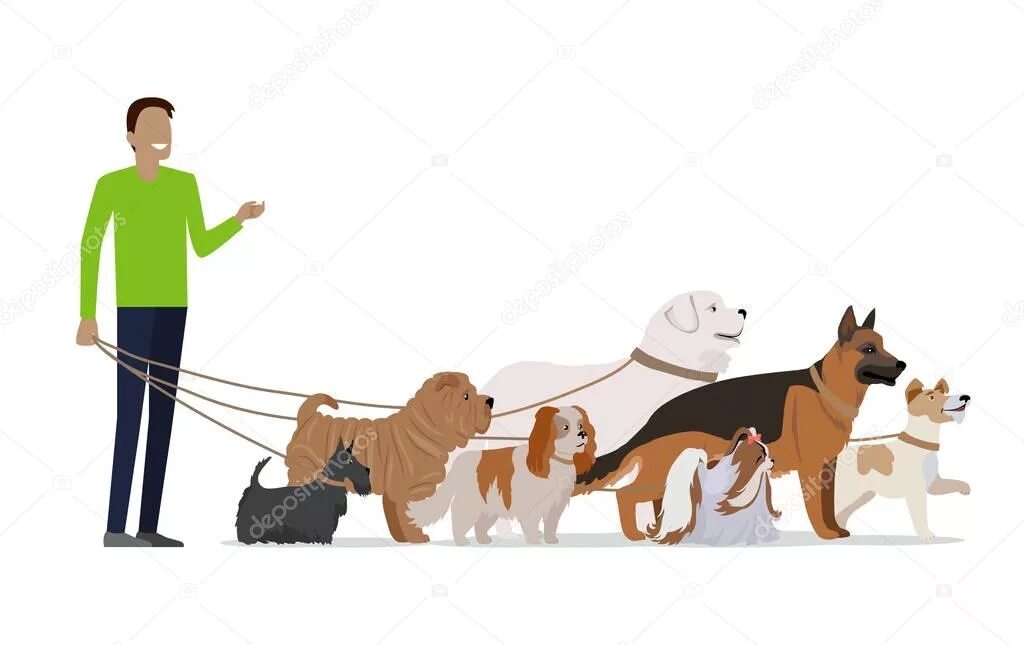 Собака вывела человека в люди. Иллюстрация выгул собак. Дрессировка собак иллюстрация. Человек выгуливающий собак мультяшный. Флэт иллюстрация прогулка.