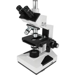 Микроскоп microscope