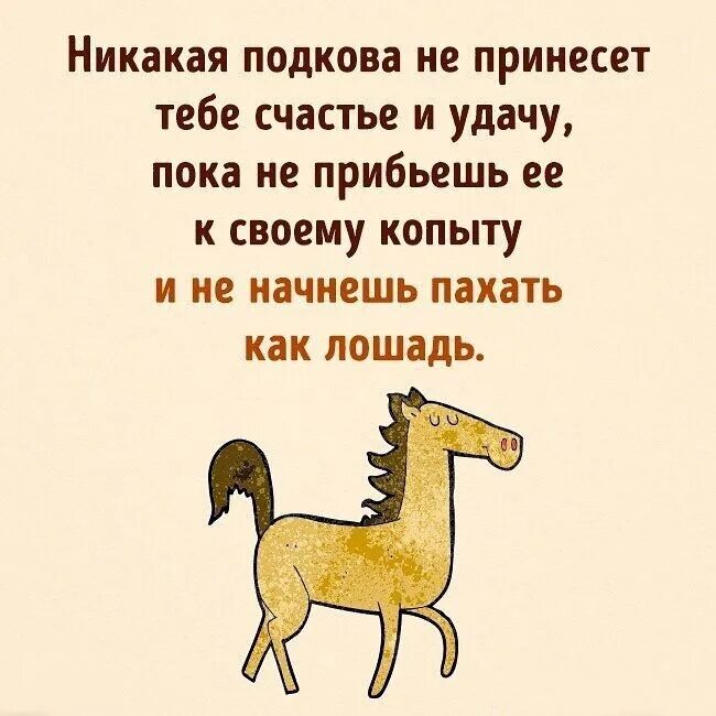 Пословица про лошадь