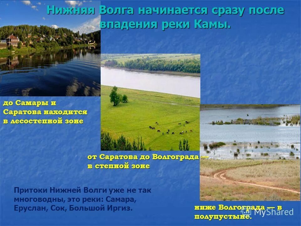 Как река волга изменяется в разные. Притоки Волги. Притоки реки Волга. Реки Волга притоки реки Волга. Крупнейшие притоки реки Волги.