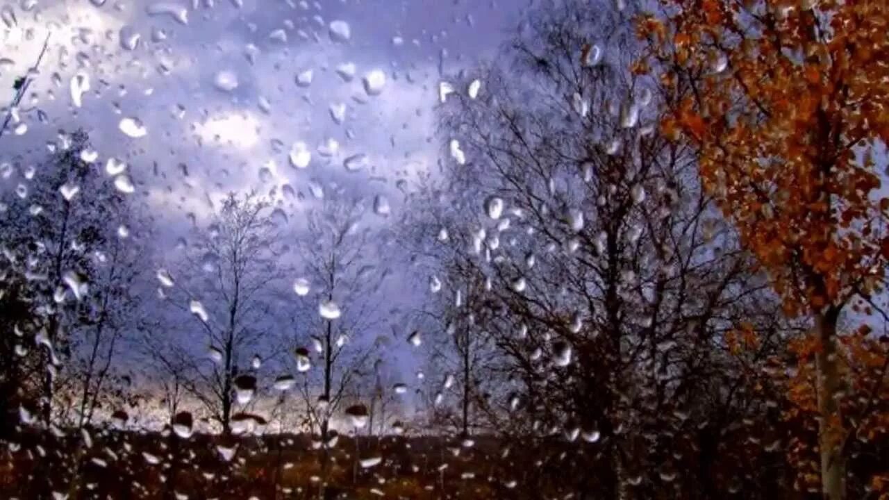 Дождь в ноябре снова вижу тебя. Осенний дождь. дождь осенью. поздняя дождливая осень. поздняя осень дождь ветер.
