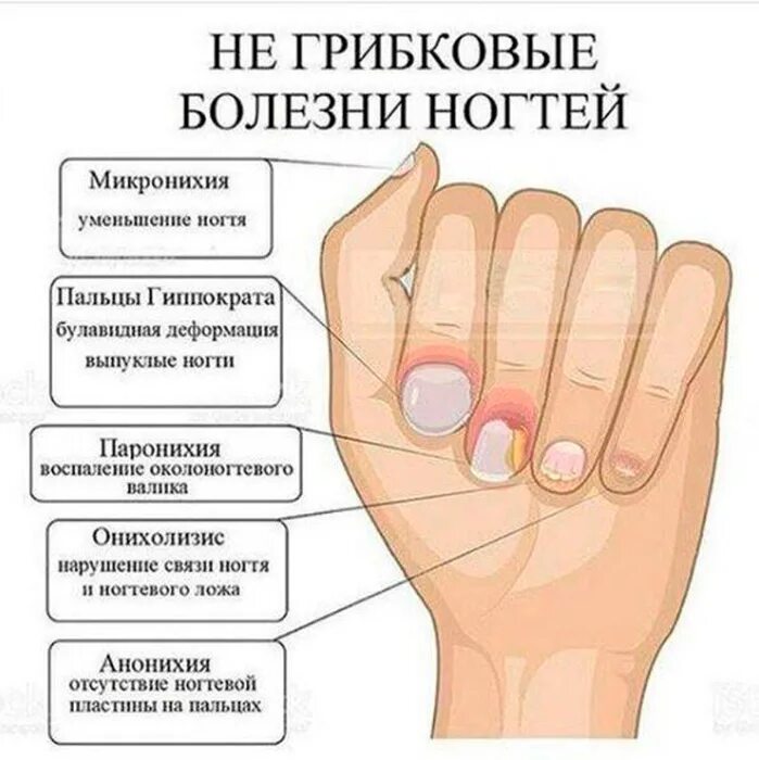 Почему ощупывать предметы лучше подушечками пальцев