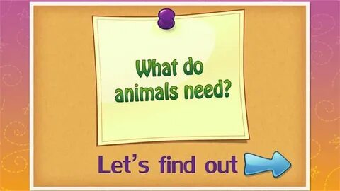 Animals need