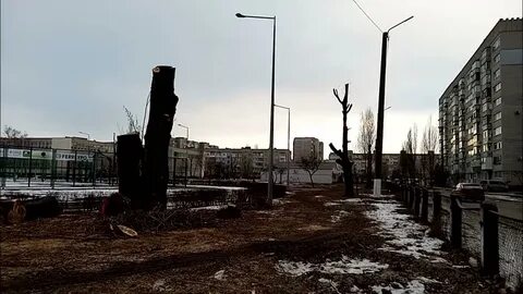 Копи 6