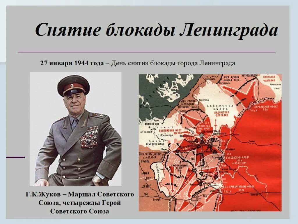 Снятие блокады Ленинграда 1944 г. карта. Г.К. Жуков 1944 год. Снятие блокады Ленинграда главнокомандующие. Оборона Ленинграда командующие. Операции ленинградской битвы