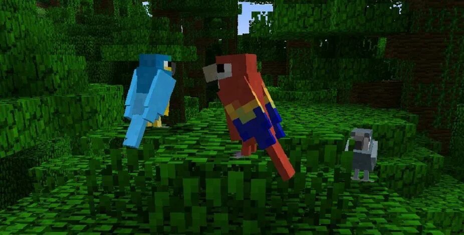 Minecraft birds. Птица в МАЙНКРАФТЕ. Мод на попугаев в майнкрафт. Попугай в Майне. Мод на птиц в майнкрафт.