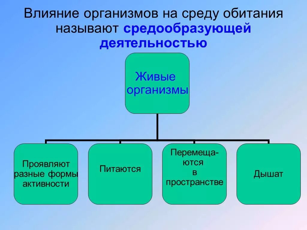 Средообразующая деятельность организмов. Пути воздействия организмов на среду обитания. Влияние организмов на среду обитания. Воздействие живых организмов на среду обитания. Как называют компоненты окружающей среды влияющие