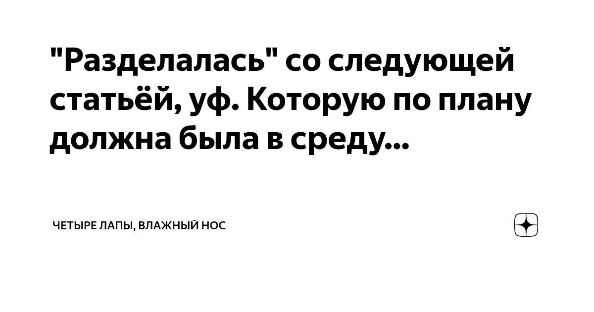 Четыре лапы влажный нос. Дзен четыре лапы влажный