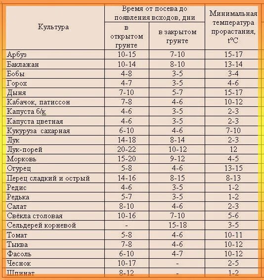 Температура прорастания семян томатов. Сроки прорастания семян таблица овощей. Сроки прорастания семян рассады овощей. Сроки всхожести семян таблица. Сроки всхожести семян овощей таблица.