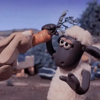 Барашек шон отзыв