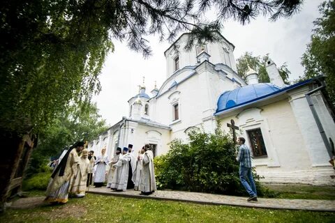 Большие кабаны казань