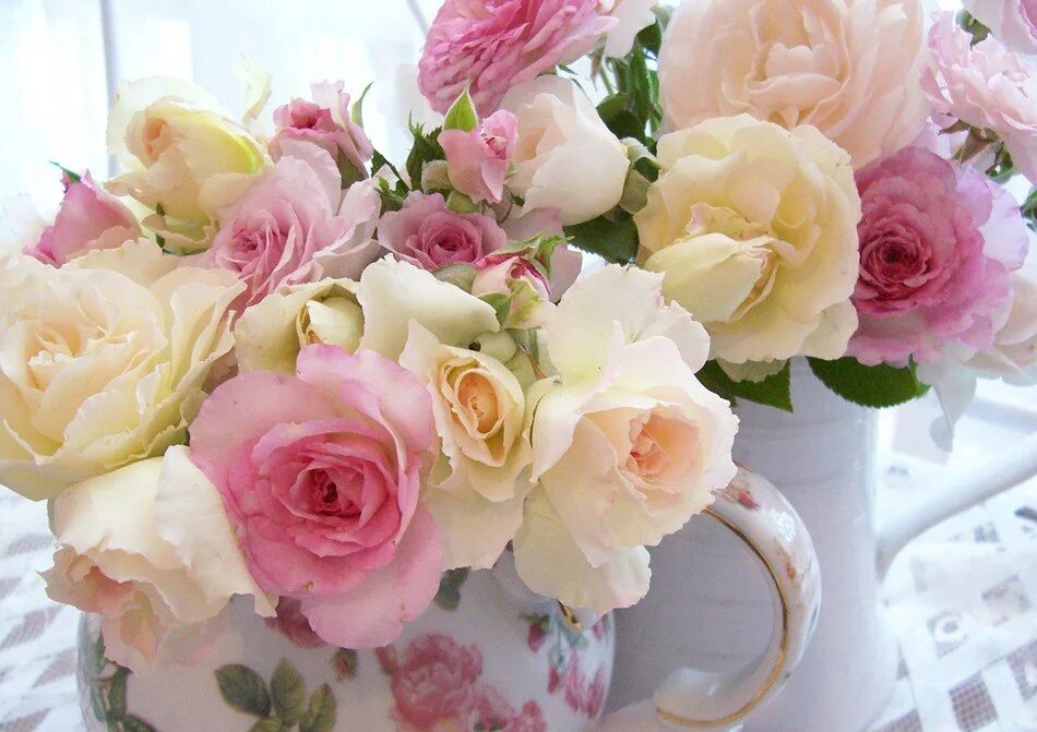 Удачный день рождения. Нежный цветок. Прекрасные нежные цветы. Нежные розы. Утренние цветы.