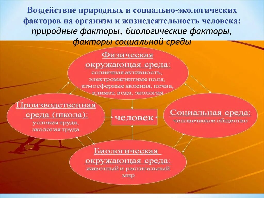 Анализ влияния окружающей среды. Факторы воздействия на организм и жизнедеятельности человека. Воздействие экологических факторов на человека. Социальные факторы воздействия на человека. Воздействие природных факторов на организм человека.