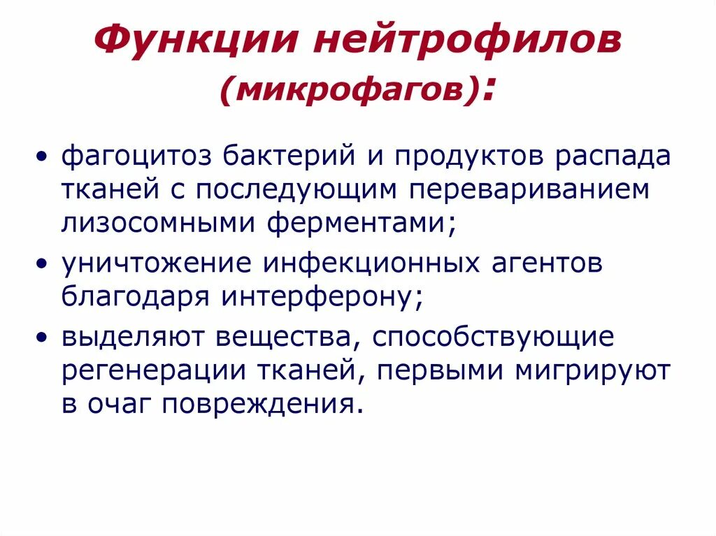 Продукты распада тканей. Функции нейтрофилов. Основные функции нейтрофилов. . Фагоцитоз бактерий и продуктов распада тканей. Нейтрофилы и их функции.