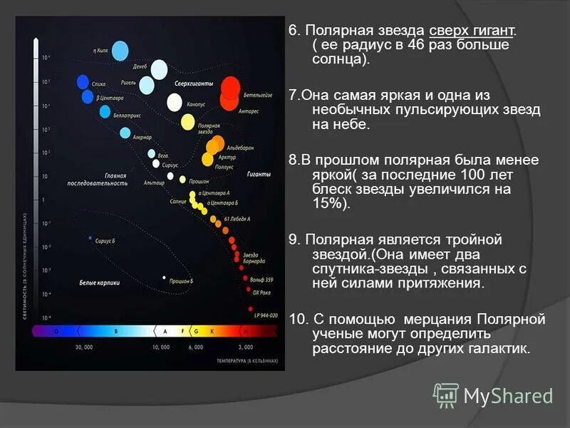 метрика полярной звезды. полярная звезда рубцовск магазин. полярная звезда магазин. акции в полярной звезде на авиамоторной. полярная звезда магазин каталог.