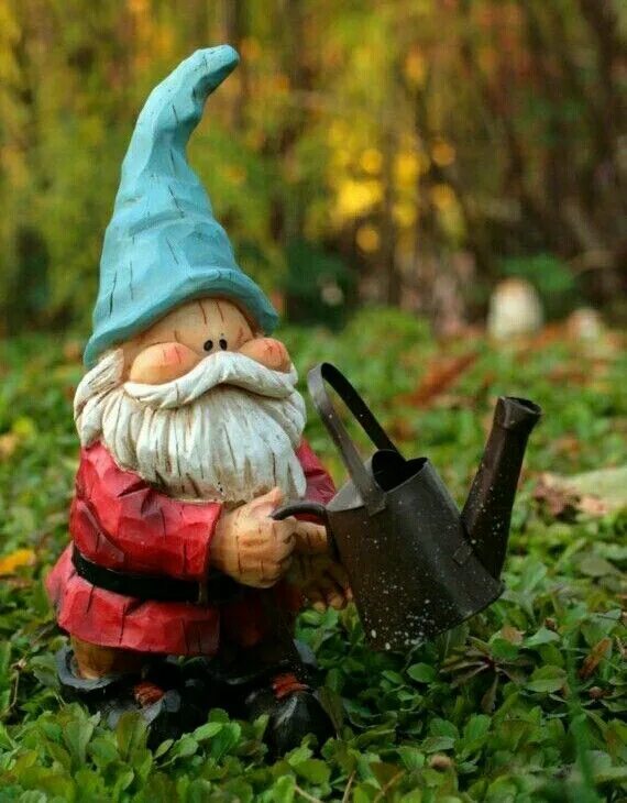 Garden gnome