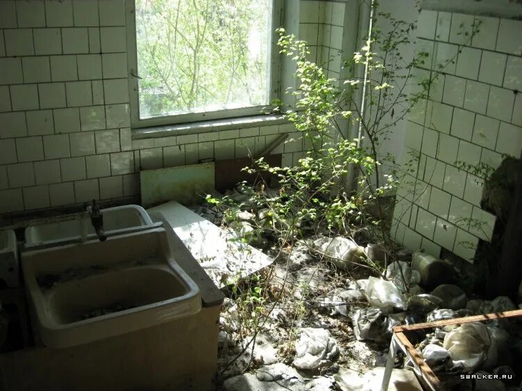 Домах сразу после того
