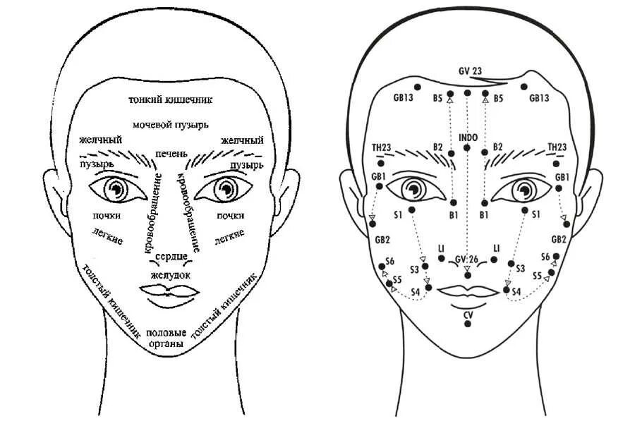 Схема шиацу точечный массаж. Точечный массаж для омоложения лица активные точки. Точечный массаж лица для омоложения шиацу. Шиацу массаж точки воздействия.
