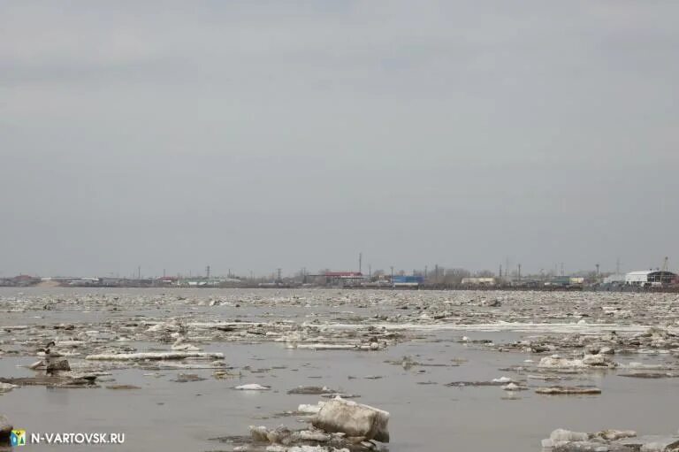 Уровень воды в Оби в Нижневартовске сегодня сейчас. Ожидаемый уровень воды в протоке Юганская Обь на 2022год. Фото Обь на 07.04.2022. Уровень воды реки Обь в Барнауле на сегодня 7 июня 2022 года.