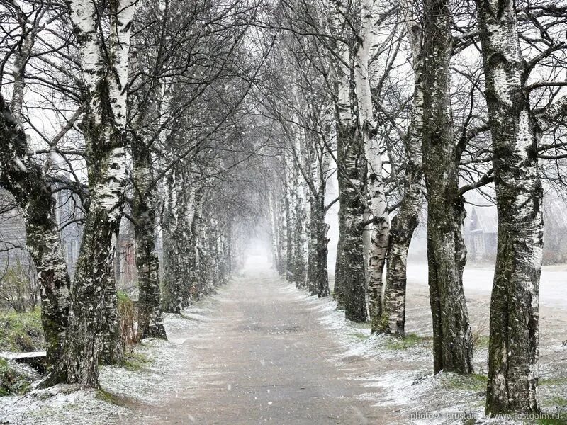 Снег в моем городе. Первый снег в моем городе вновь первый. Пентюх художник. Снежная осень. Снегопад в городе.