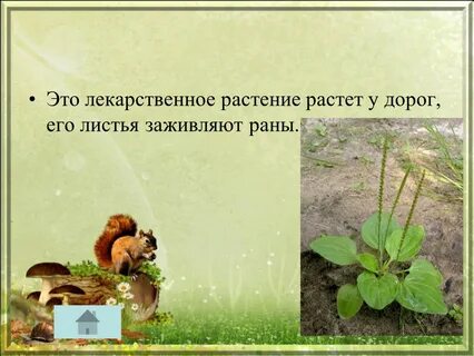 Расти дорогой