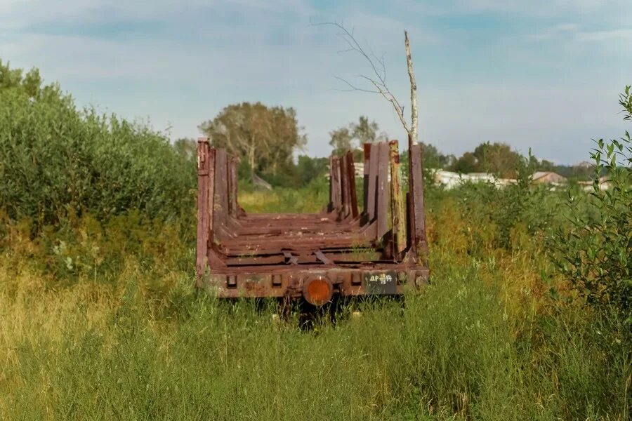 Алапаевская УЖД RAILGALLERY. Кировское Алапаевский район. Узкоколейка Ижевск гольяны. Растительность Алапаевского района.