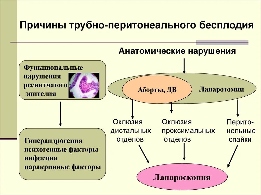 Трубно-перитонеальный фактор бесплодия клинические рекомендации. Трубное и перитонеальное бесплодие причины. Диагностика трубно перитонеального бесплодия. Трубное бесплодие причины. Перитонеальное бесплодие