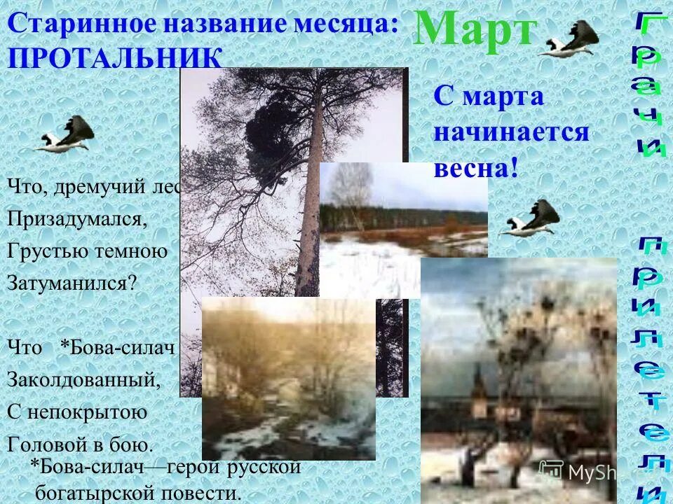 алексей васильевич кольцов стихотворение лес. что дремучий лес призадумался грусти темные затуманился а кольцов. доносится звук. а в кольцов лес 5 класс.