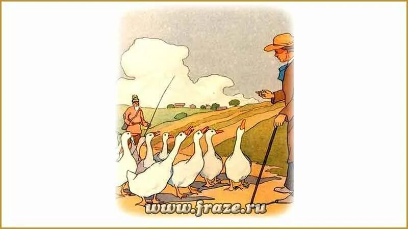Басня гуси. Басня гуси