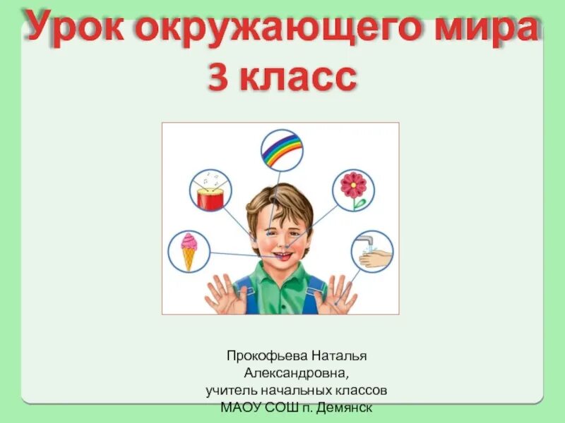 Урок окружающий мир 3 класс органы чувств