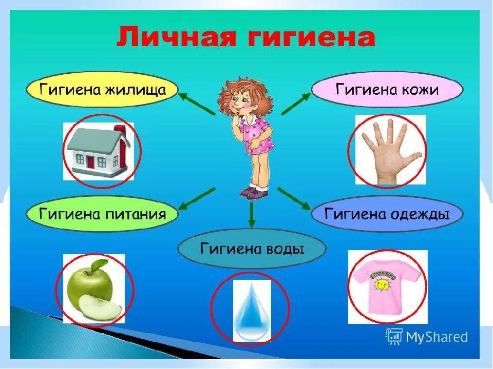 Гигиенические нормы здорового образа жизни. Гигиенические нормы здорового образа жизни. Зож гигиена. Здоровый образ жизни гигиена. Зож гигиена презентация.