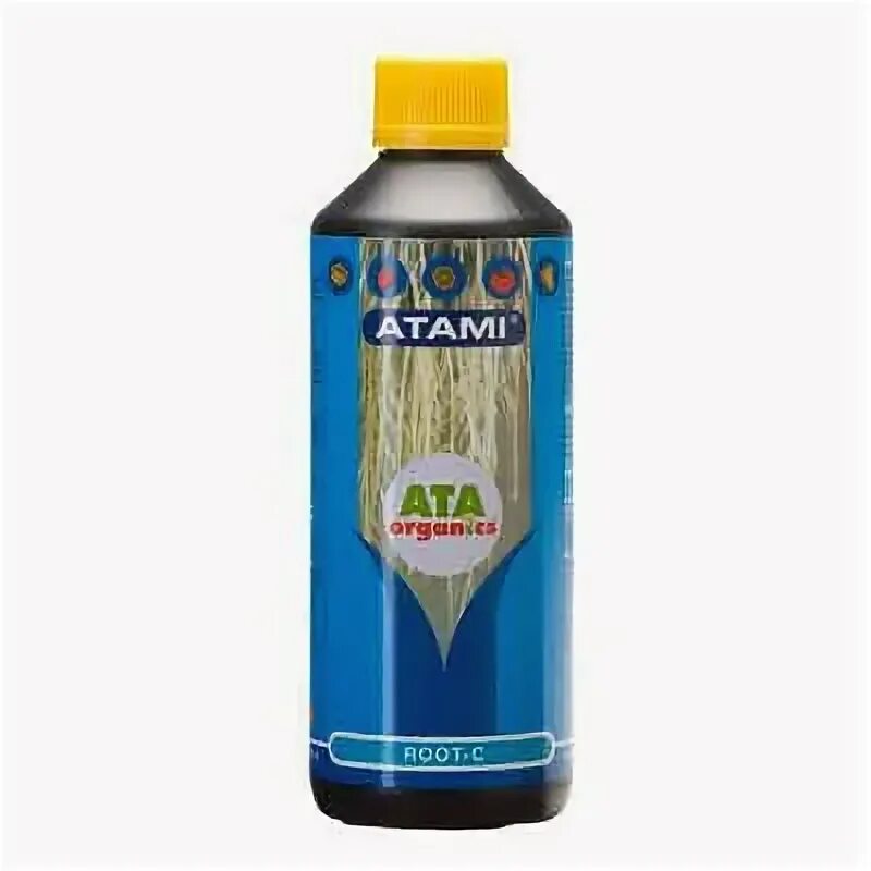 A. Unident апекслокатор coxo. C root 3. C root 3. C root 3.