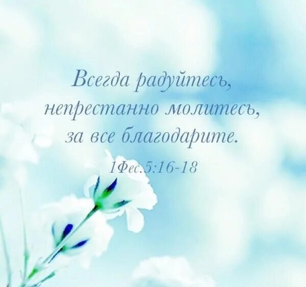 Всегда радуй. Всегда радуйтесь. Всегда радуйтесь непрестанно молитесь. Всегда радуйтесь непрестанно молитесь за все благодарите. Всегда радуйтесь непрестанно.